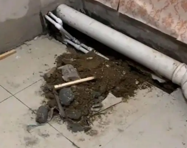 滦平卫生间漏水检测哪家好